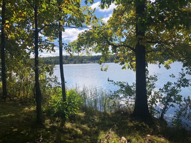 Picture of Sunny Lake Park