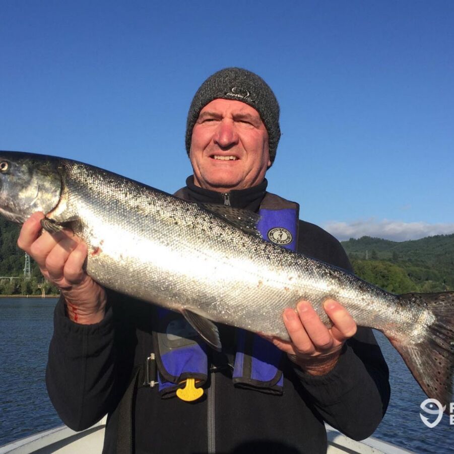 Picture of Fishing