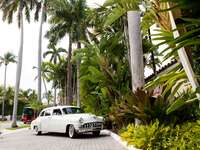 Destination wedding car for transportation 