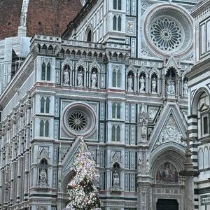 Gallery Photo 31