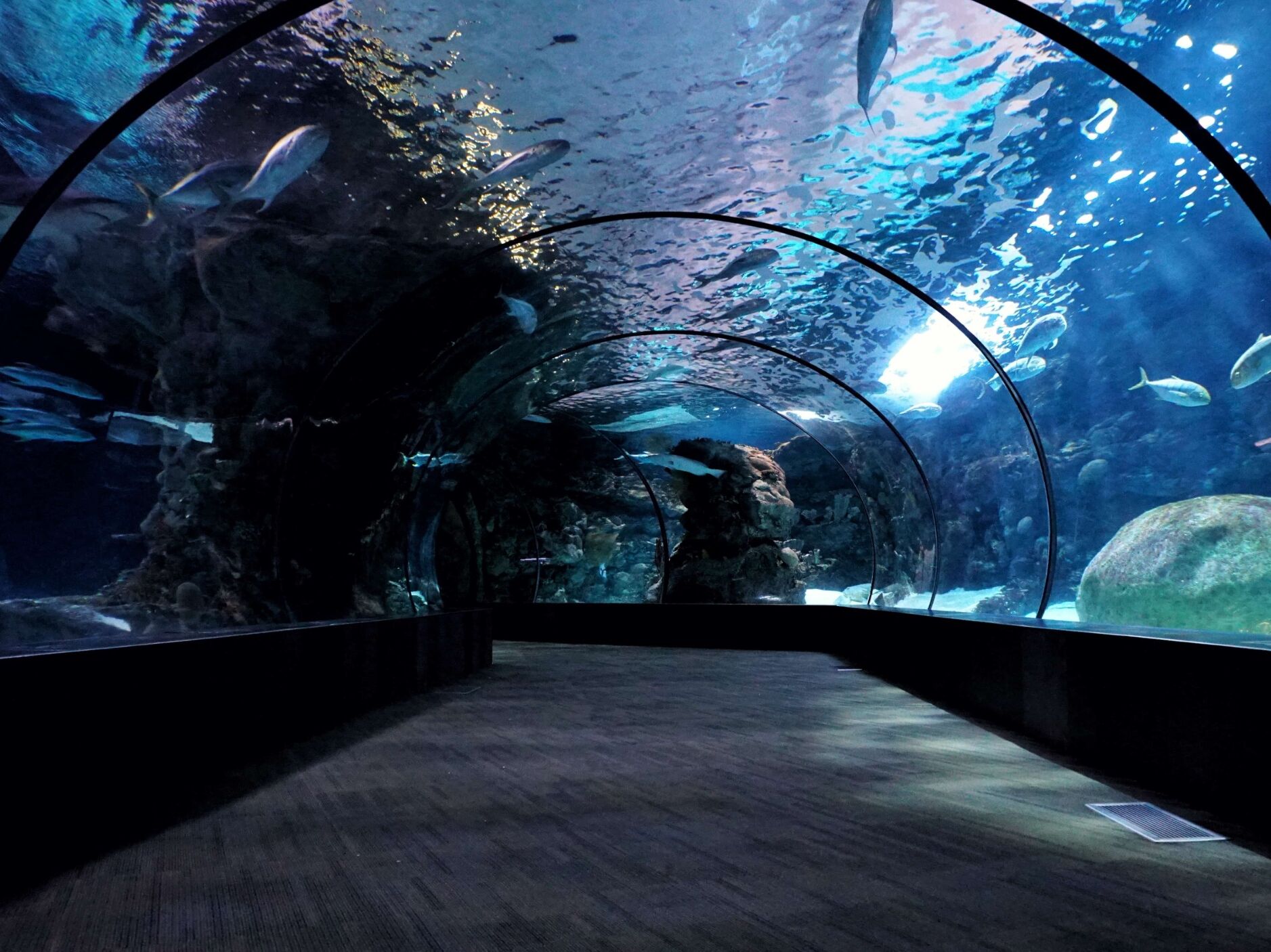 Picture of Oklahoma Aquarium