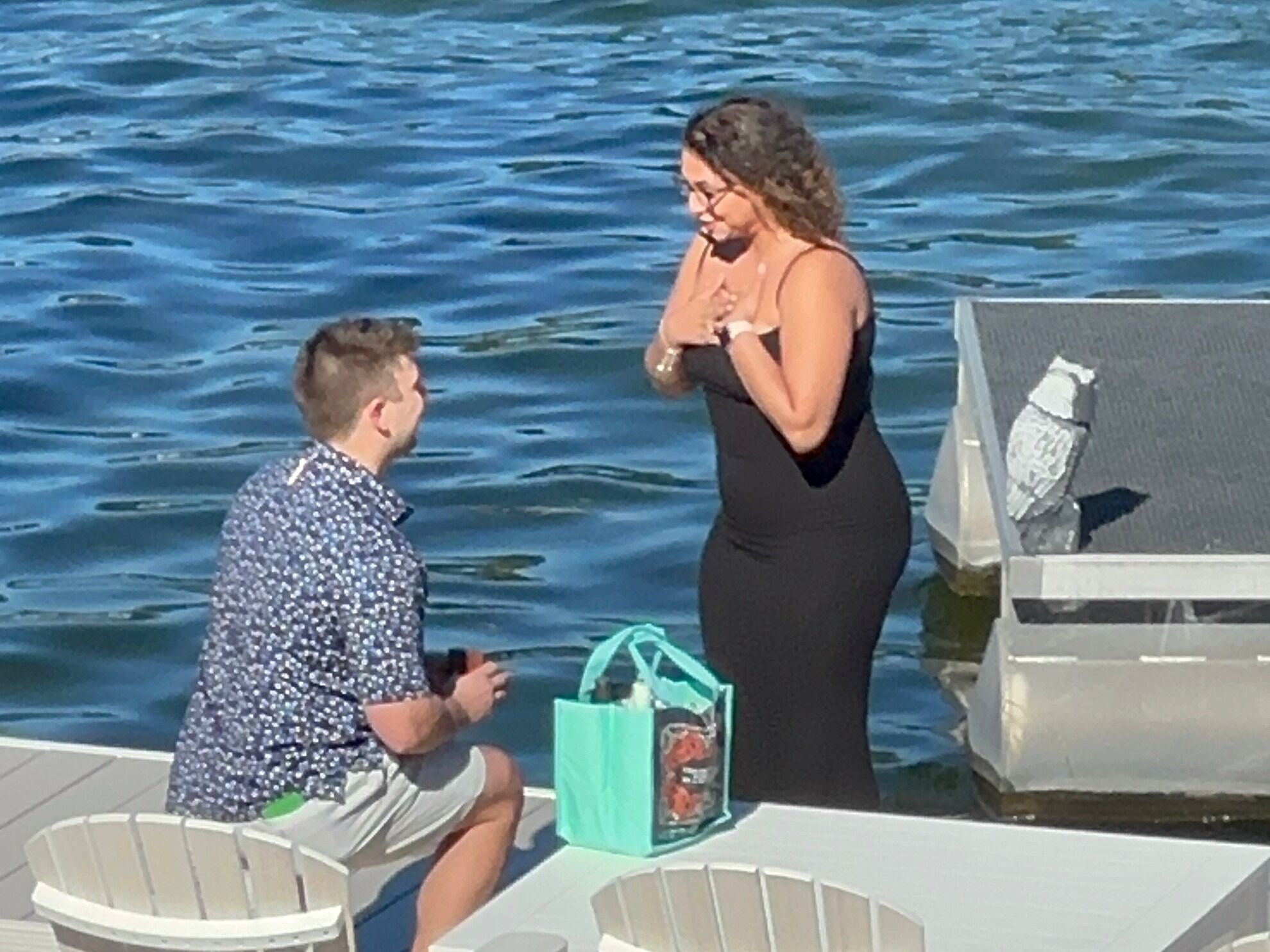 Picture of The Proposal