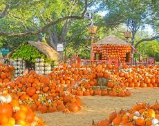 Picture of Dallas Arboretum 