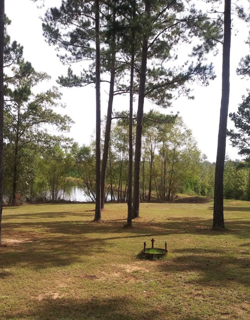 Picture of Lakeside Cabin rentals