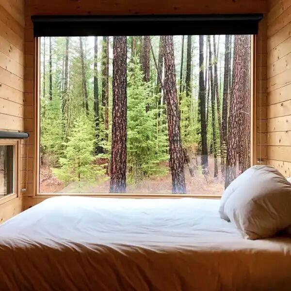 Picture of Postcard Cabins Piney Woods