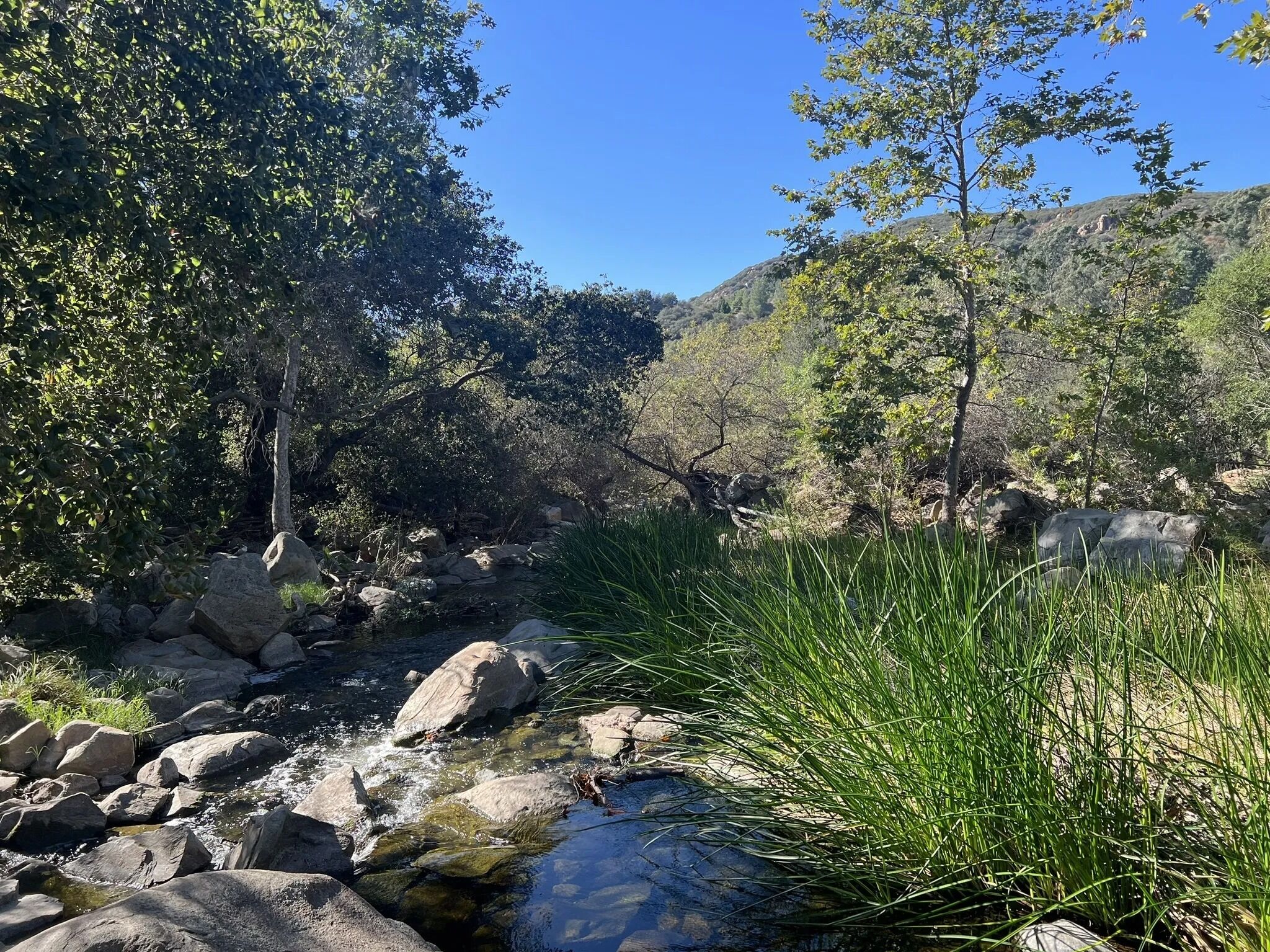 Picture of Elfin Forest Hike