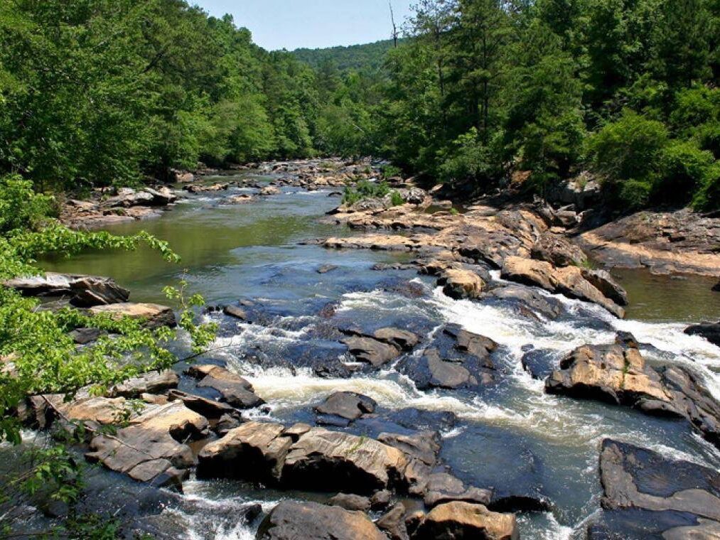 Picture of Sweetwater Creek State Park