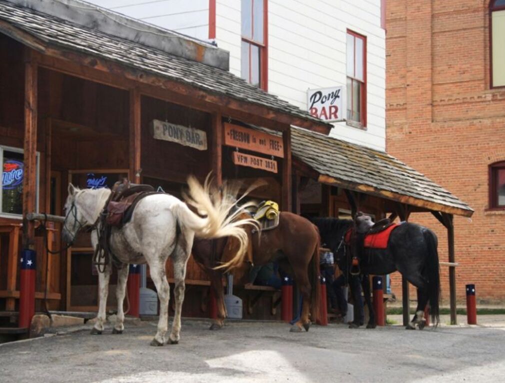 Picture of Pony  Bar