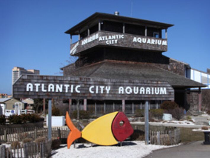 Picture of Atlantic City Aquarium