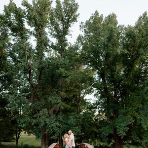 Gallery Photo 14