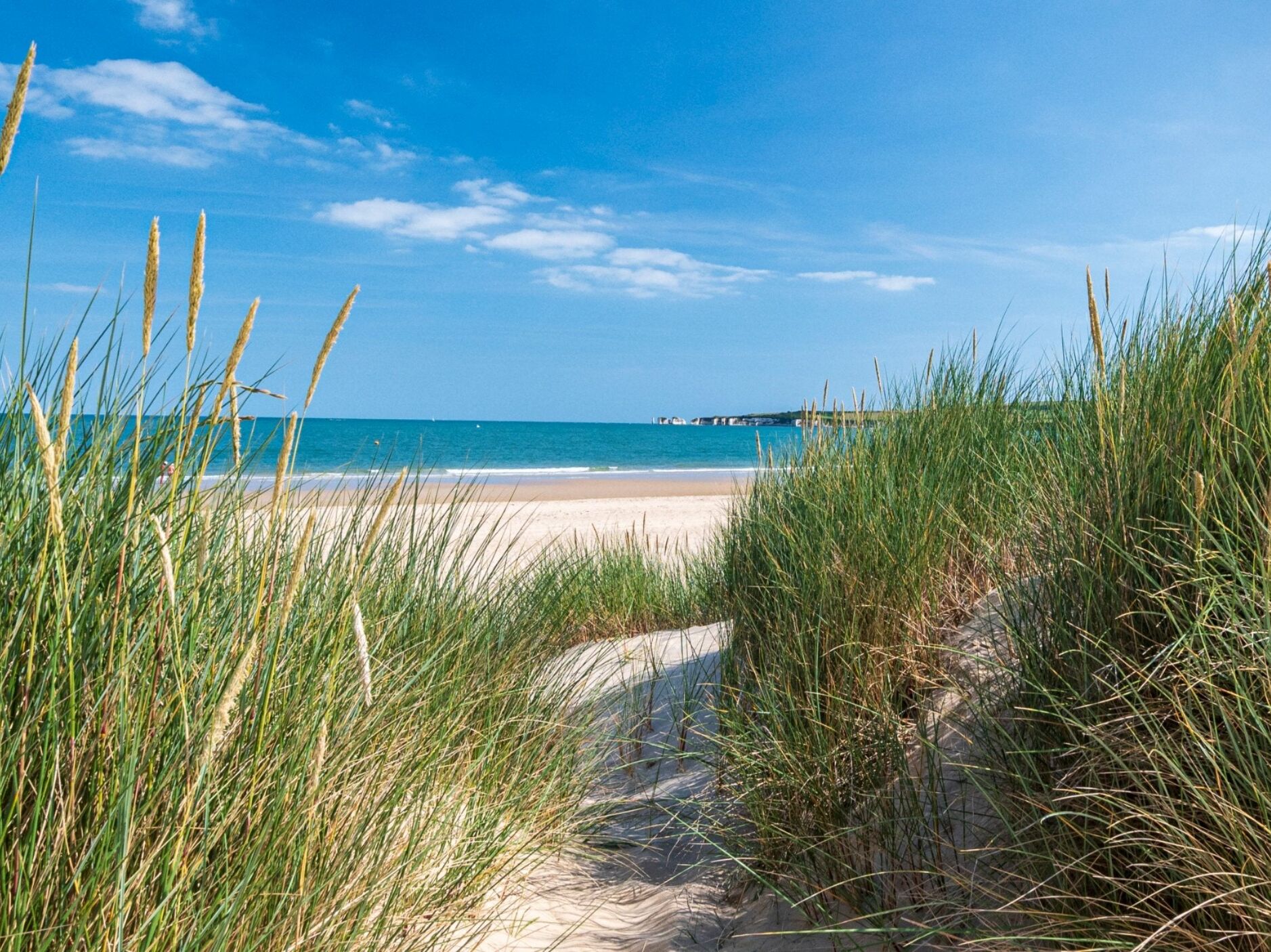 Picture of Head to the beach!