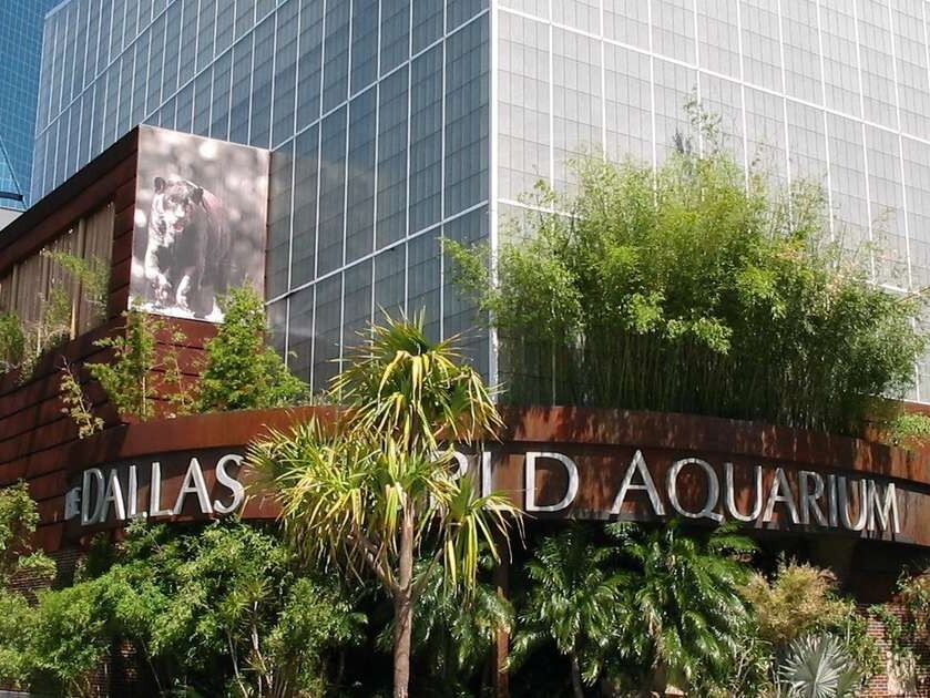 Picture of The Dallas World Aquarium