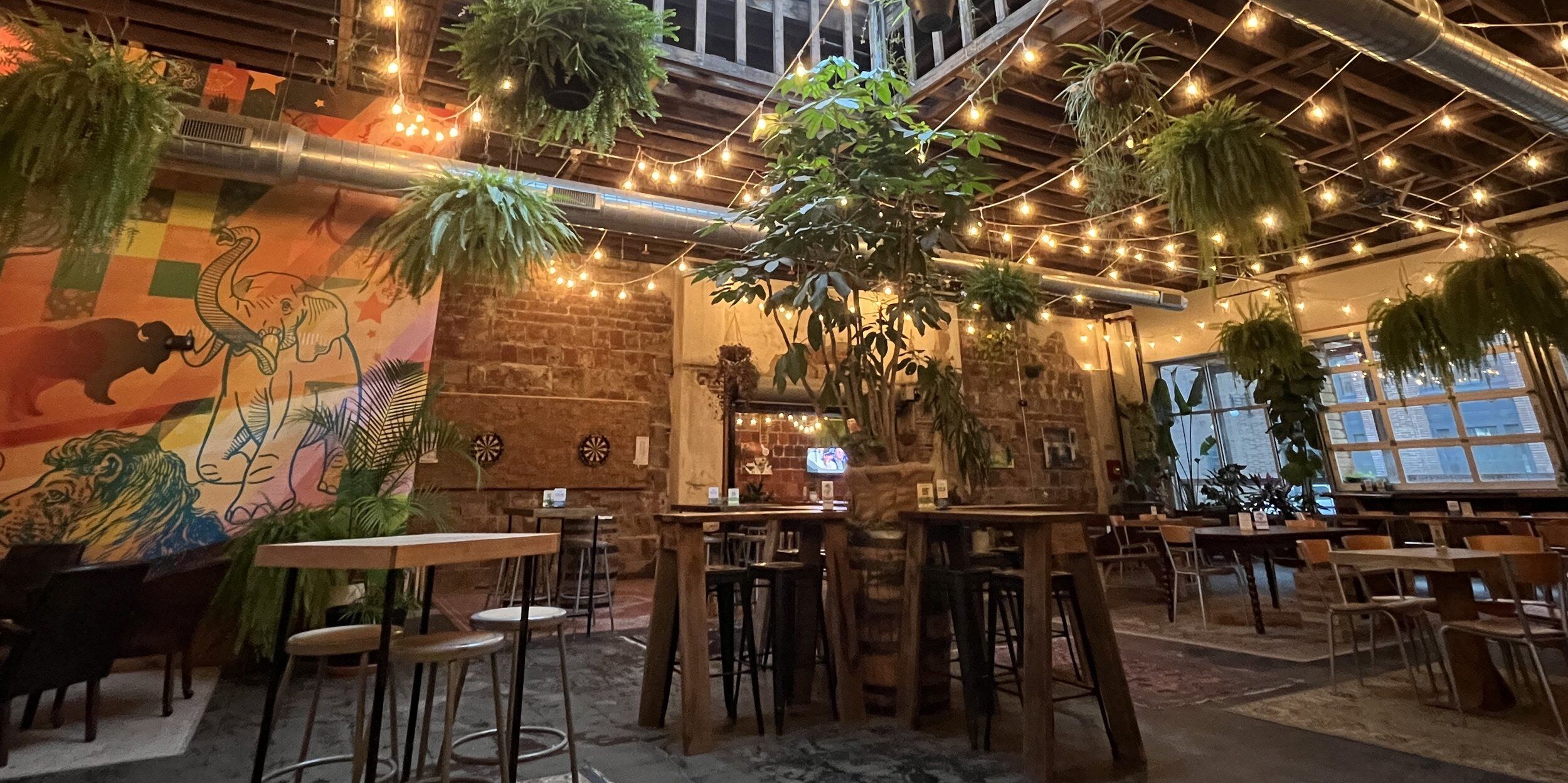 Picture of Casual Animal Brewing Co