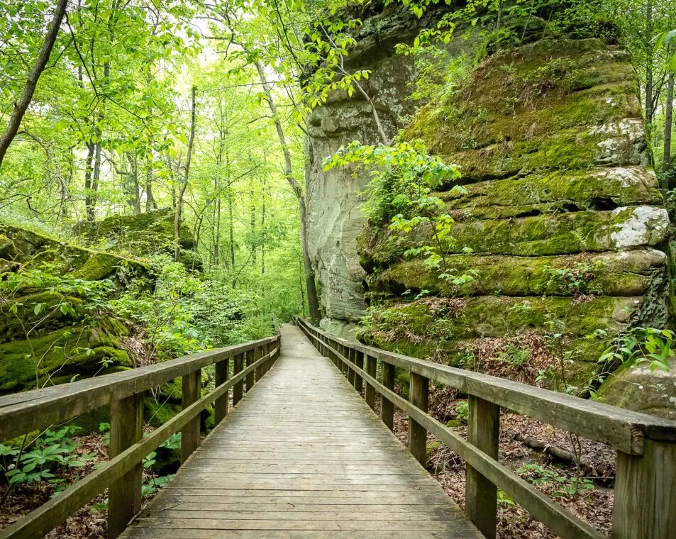 Picture of Giant City State Park 