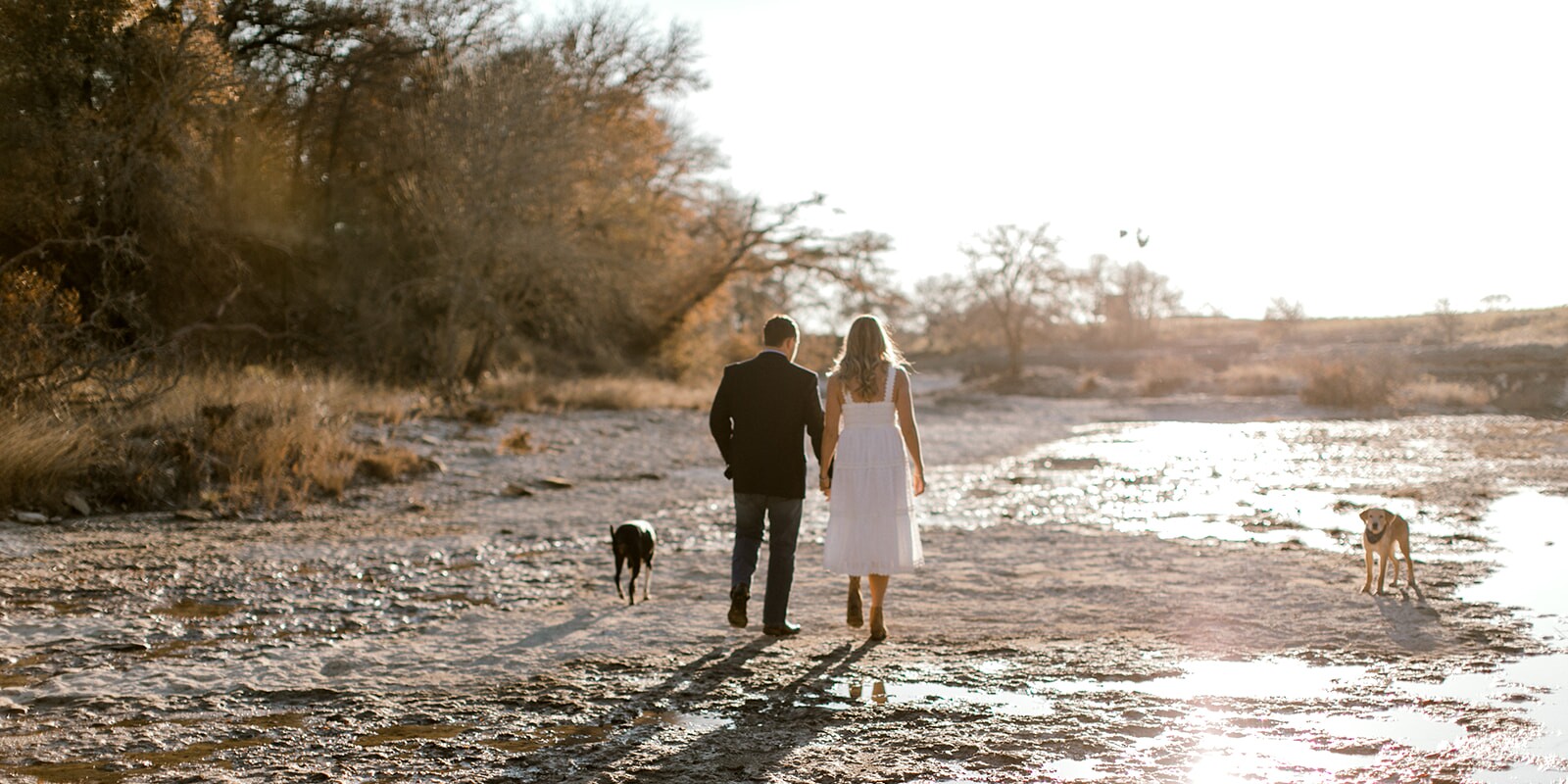 colleen & Daniel Home Page Banner