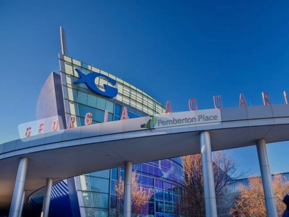 Picture of Georgia Aquarium