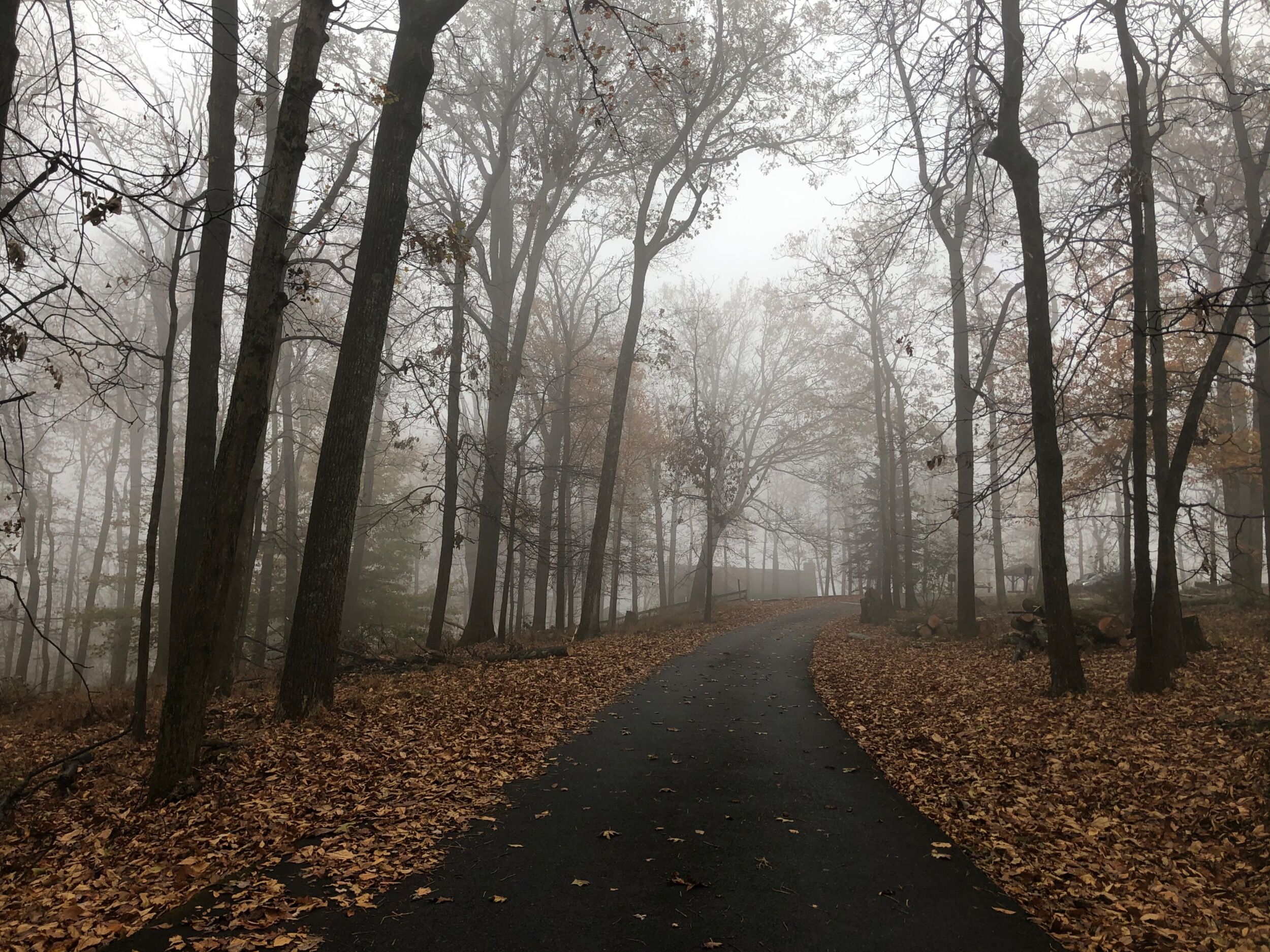 Picture of Gambrill State Park