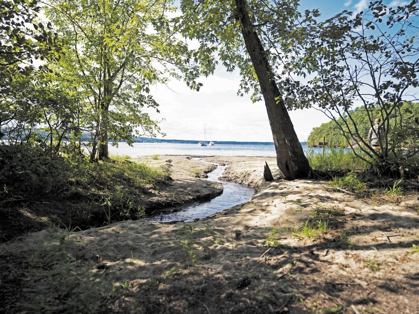 Picture of Niquette Bay State Park