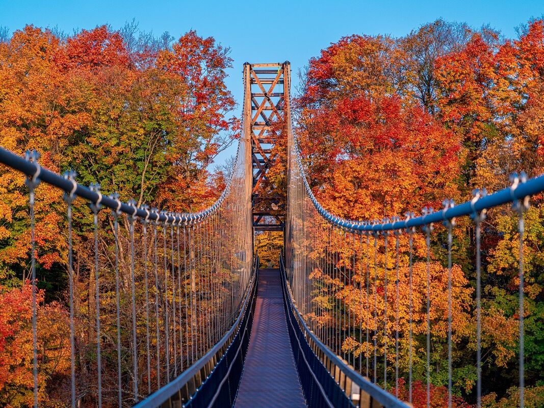 Picture of SkyBridge Michigan