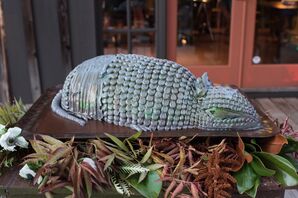 Modern Armadillo Groom's Cake