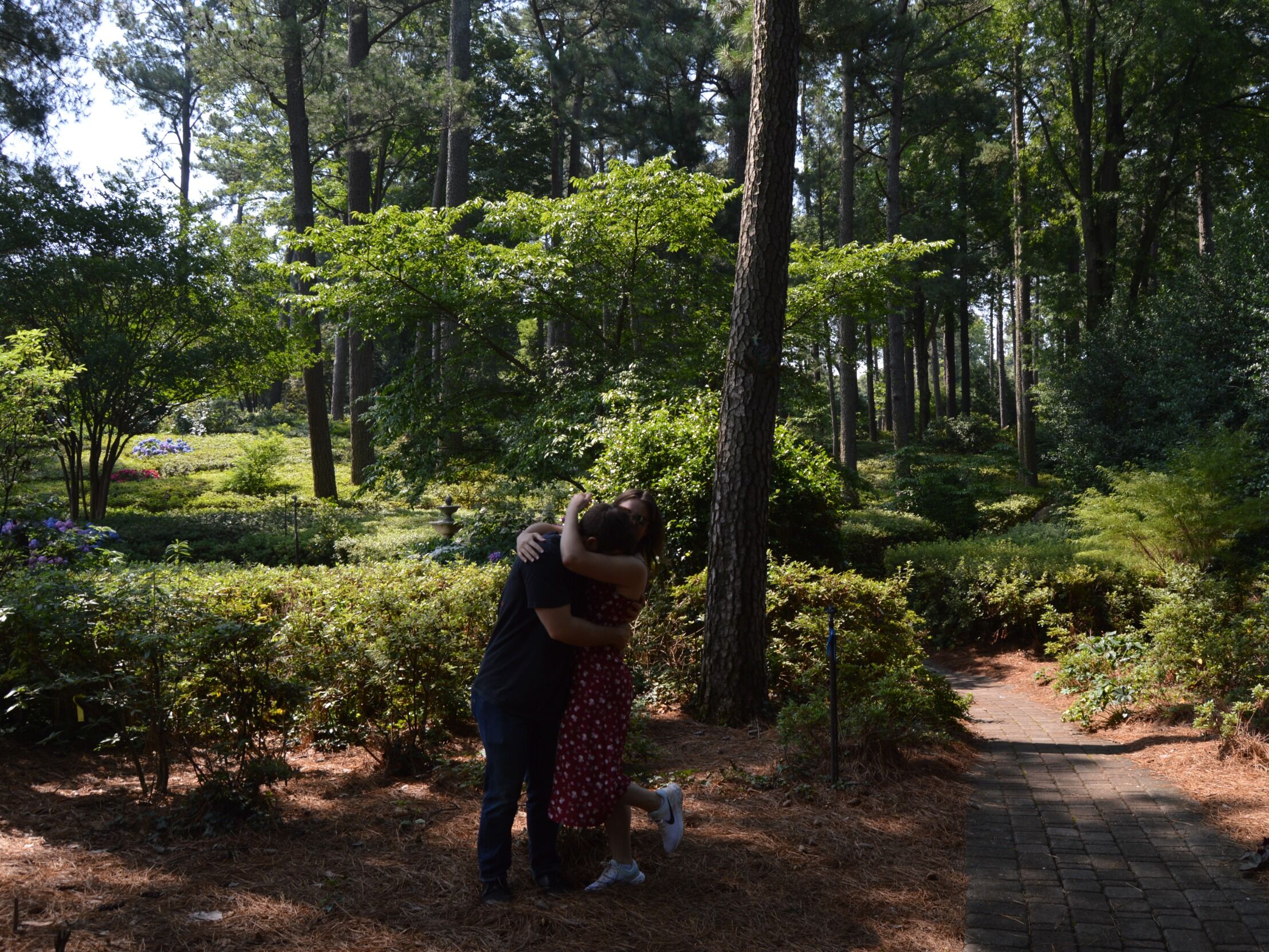 Picture of WRAL Azalea Garden
