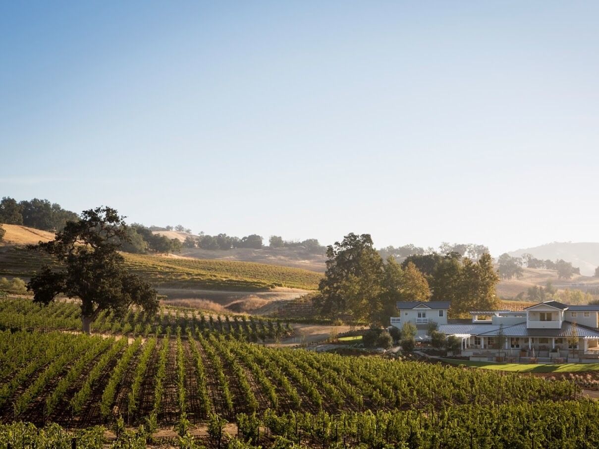 Picture of Wine Tasting in Paso Robles