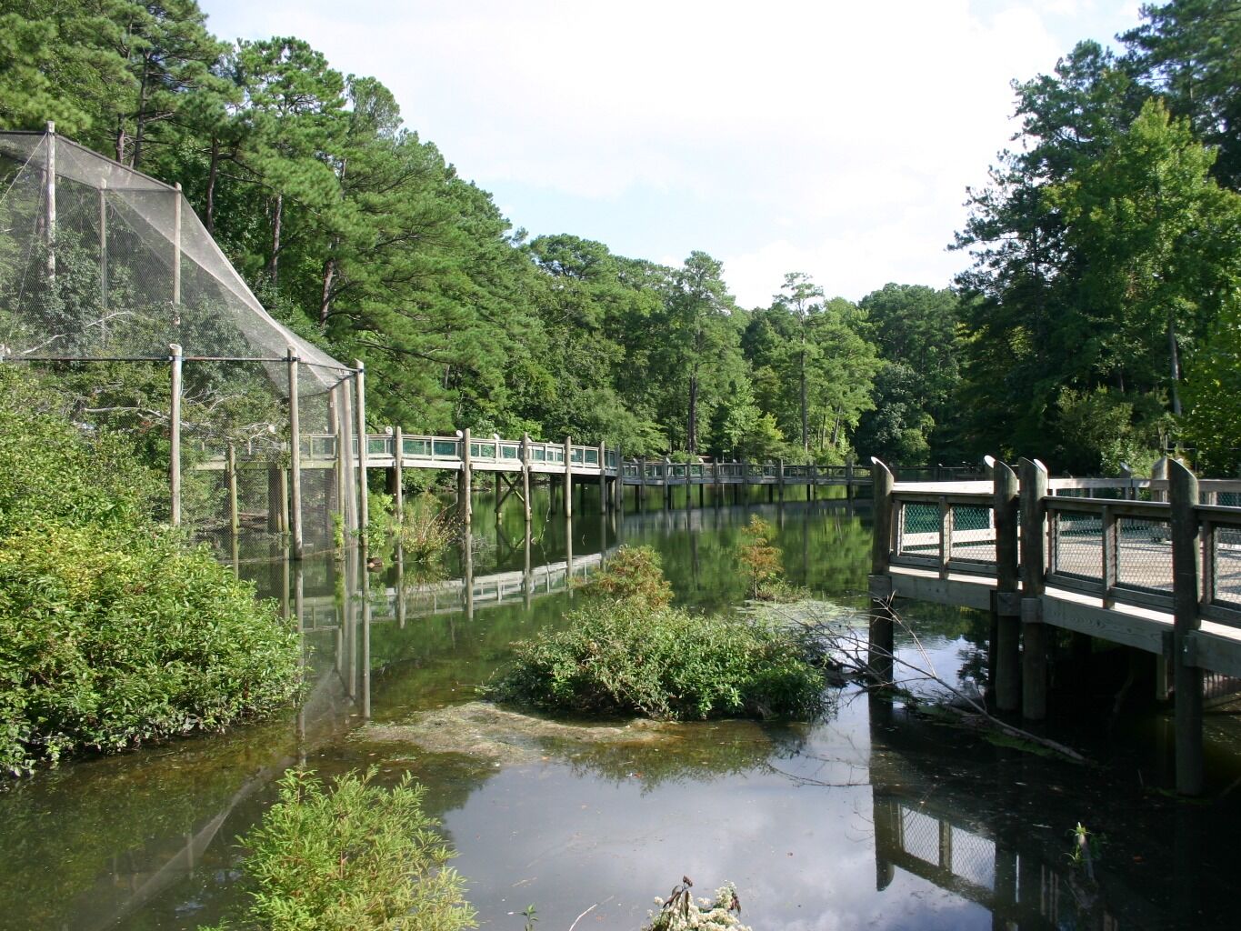 Picture of Virginia Living Museum