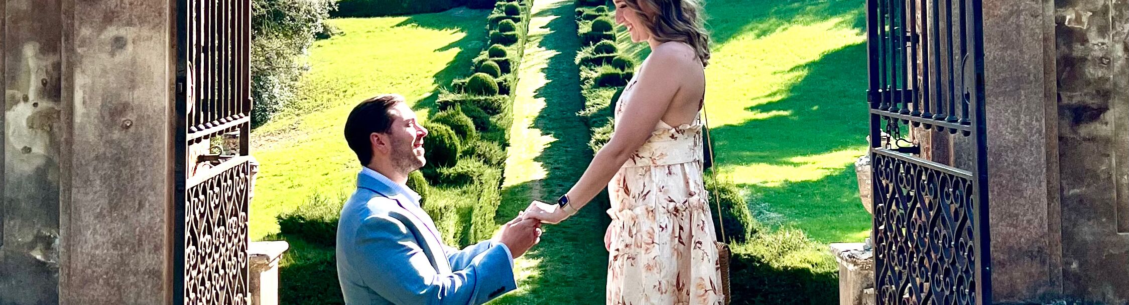 Picture of The Proposal