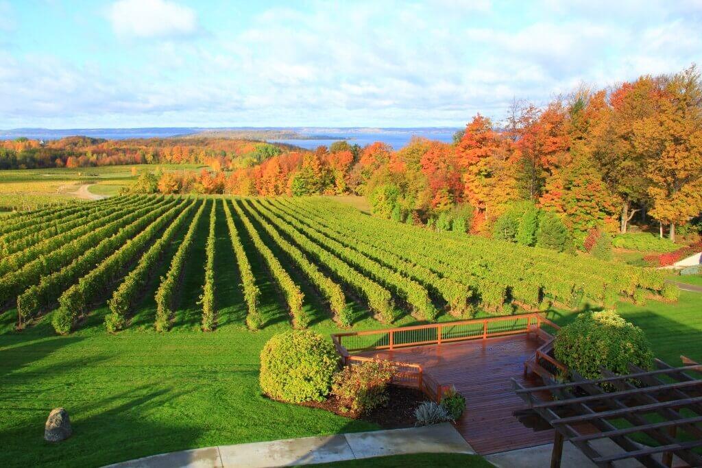 Picture of WINERIES