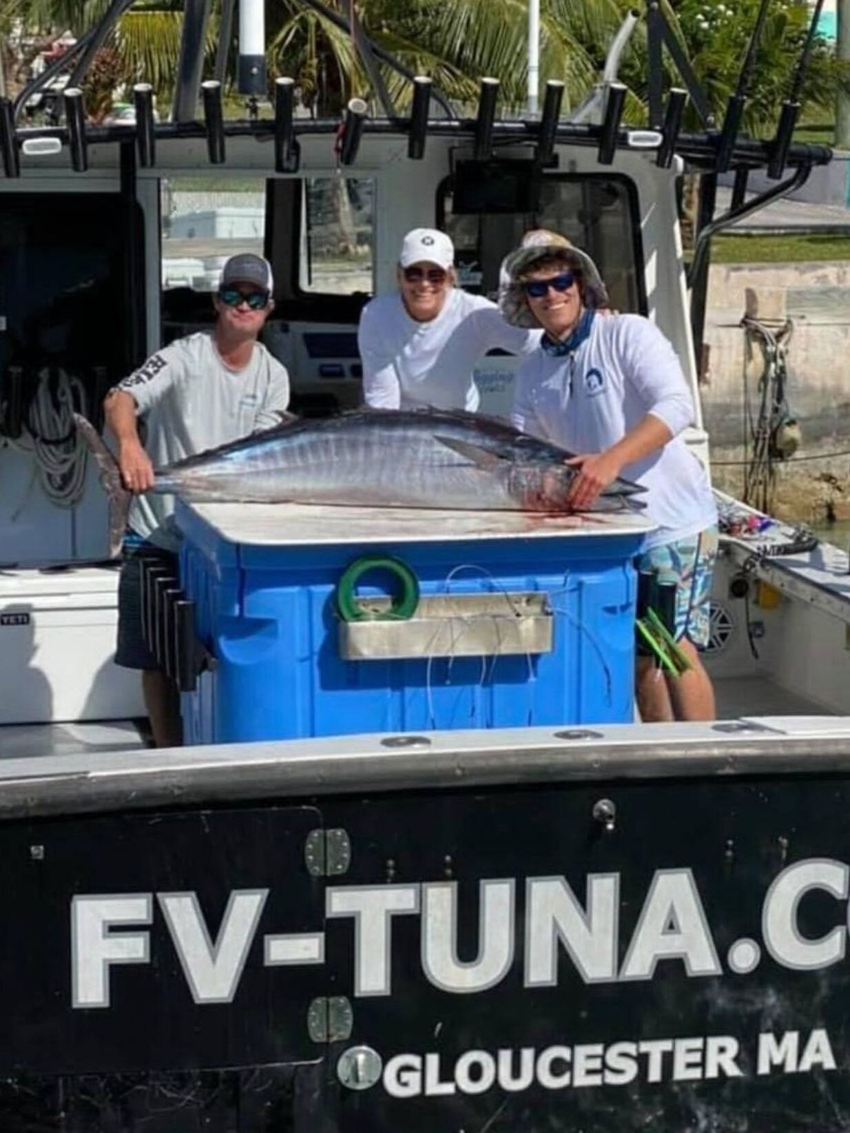 Picture of BLACK IN BLUE CHARTERS