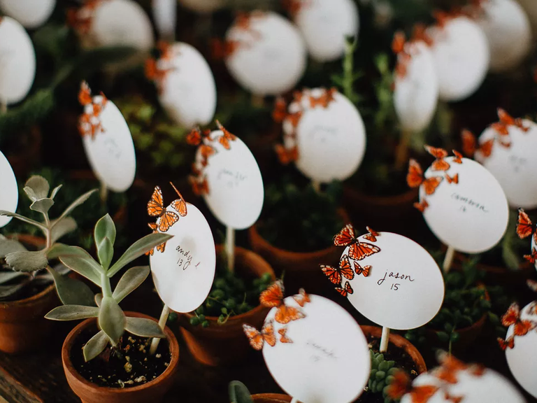 Butterfly names cards for wedding reception