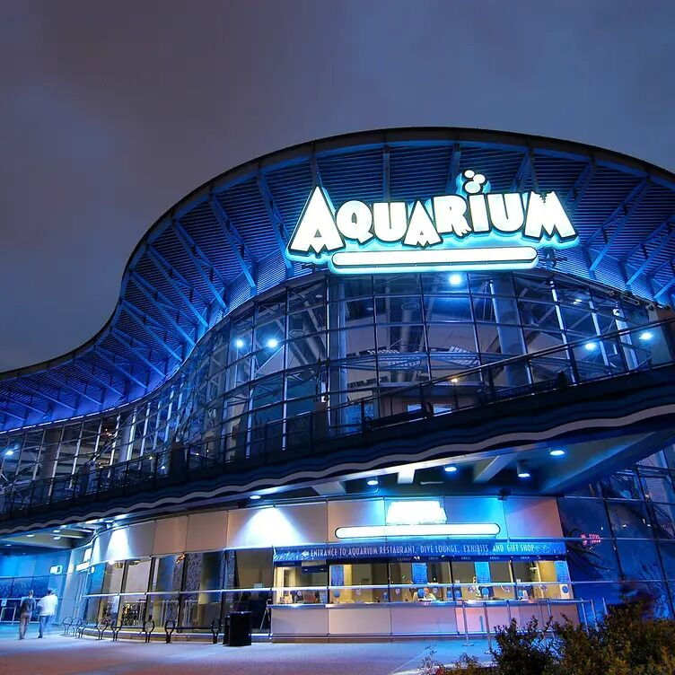 Picture of Downtown Aquarium