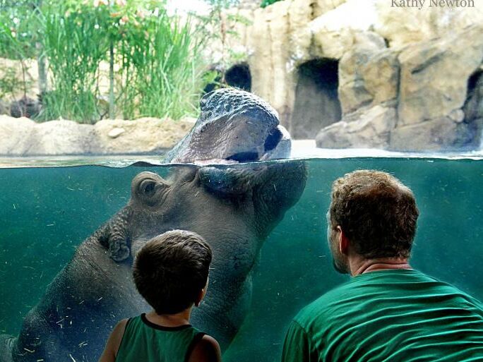 Picture of Cincinnati Zoo & Botanical Garden