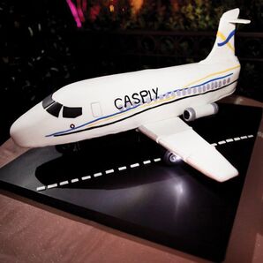 Airplane-shaped Cake