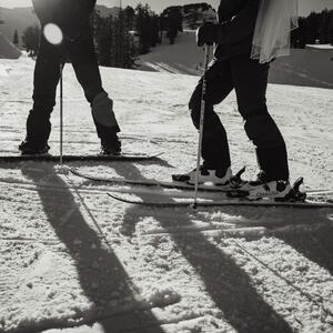 Gallery Photo 6