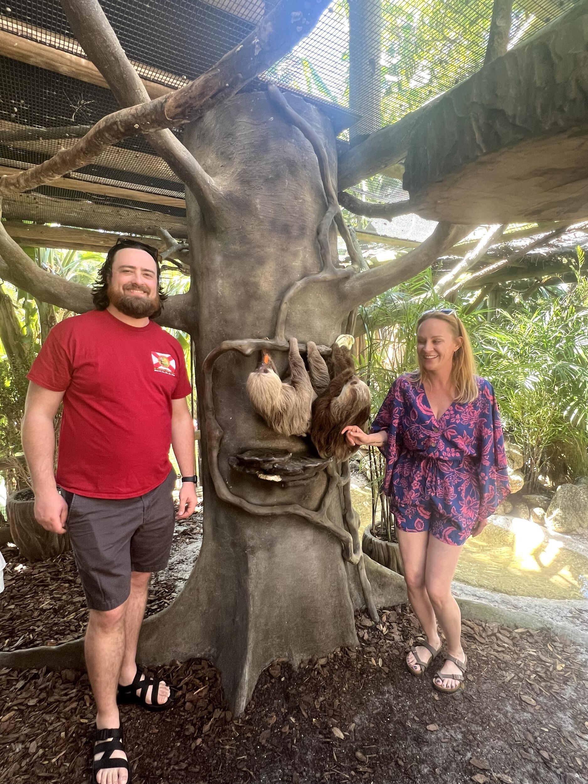 MJ got to meet a sloth couple... then got engaged the same day. Overwhelmed!