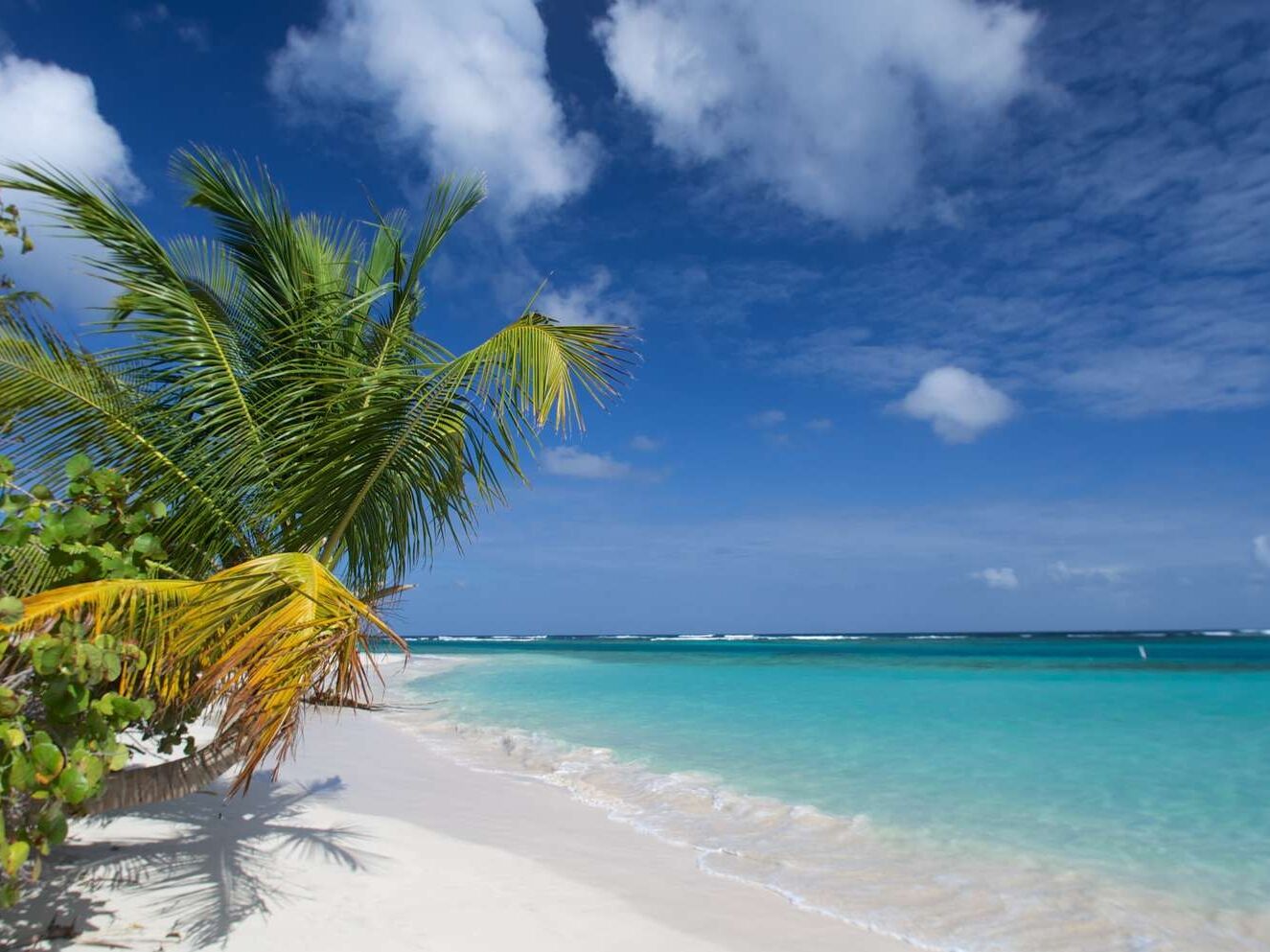 Picture of isla culebra,puerto rico