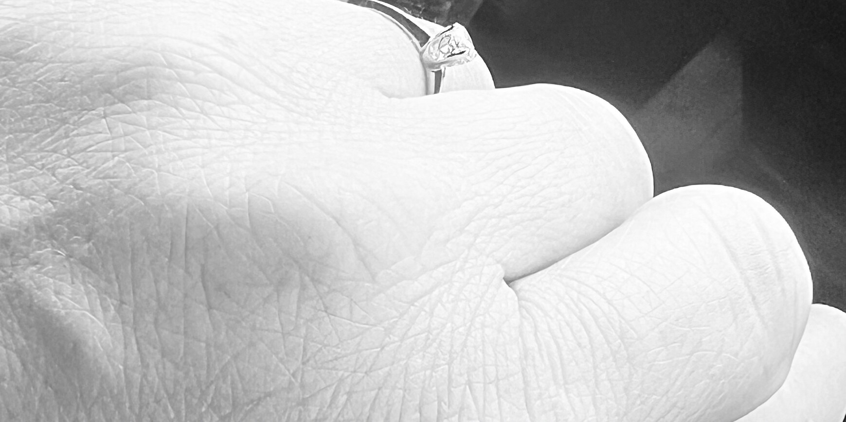 Daphne & Randy Home Page Banner