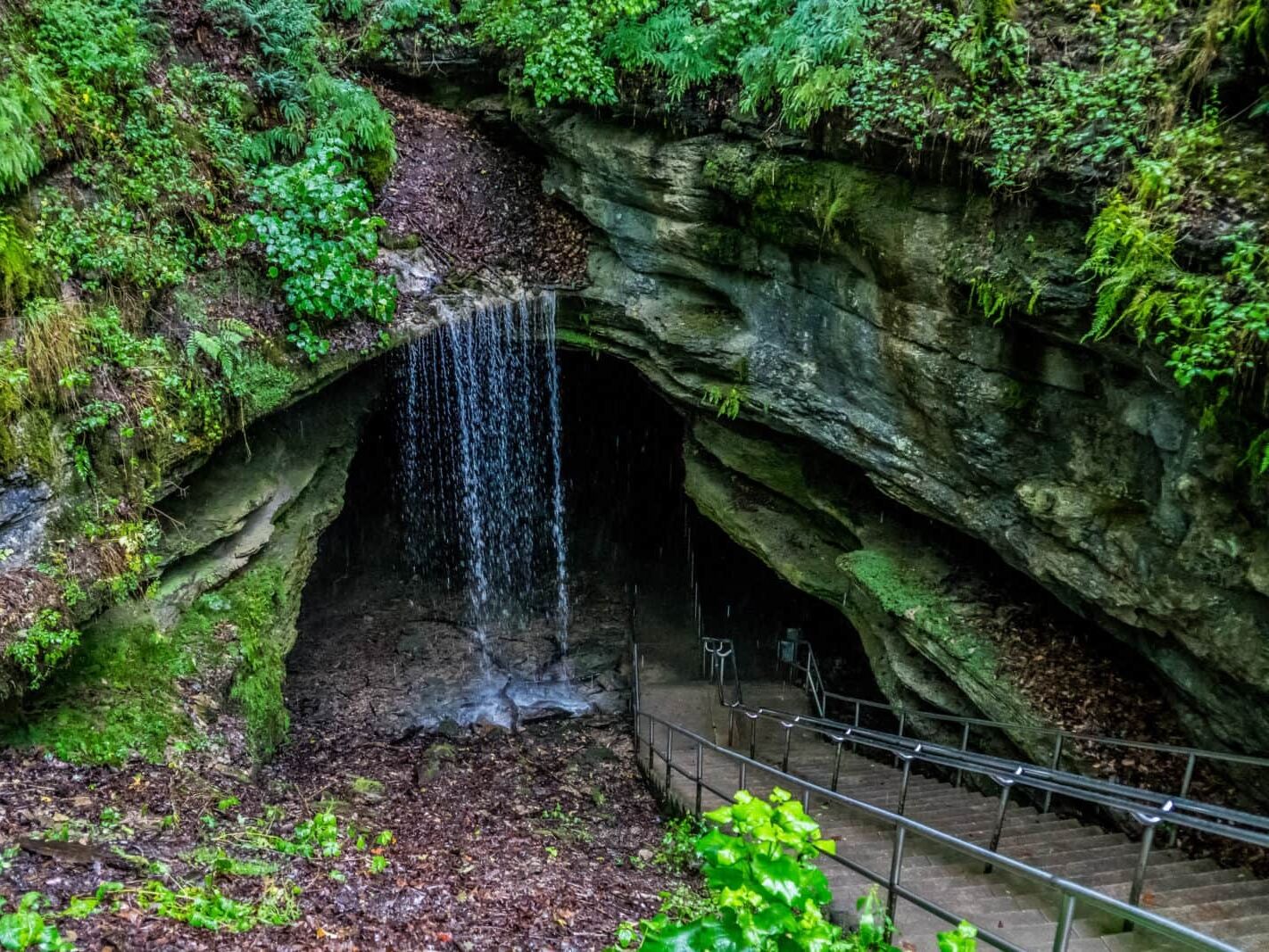 Picture of Mammoth Cave National Park