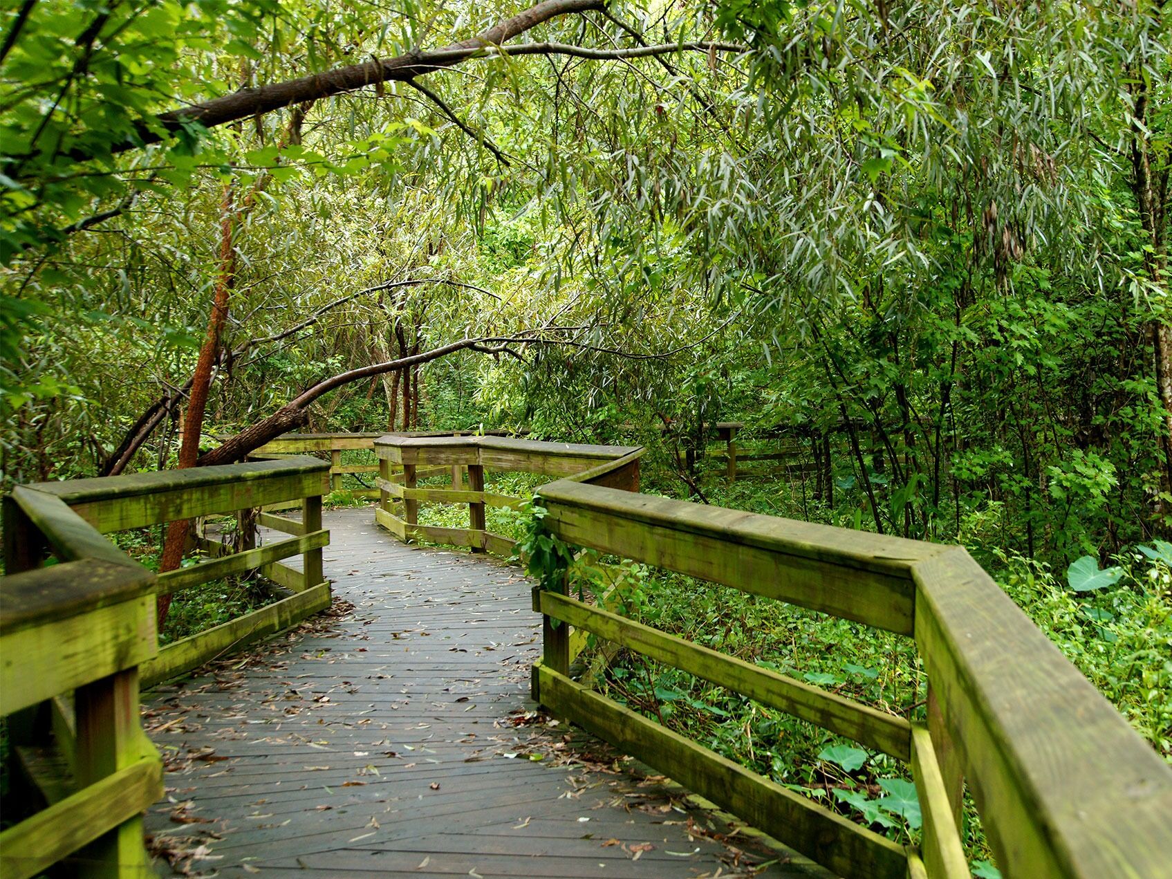 Picture of Mead Botanical Garden