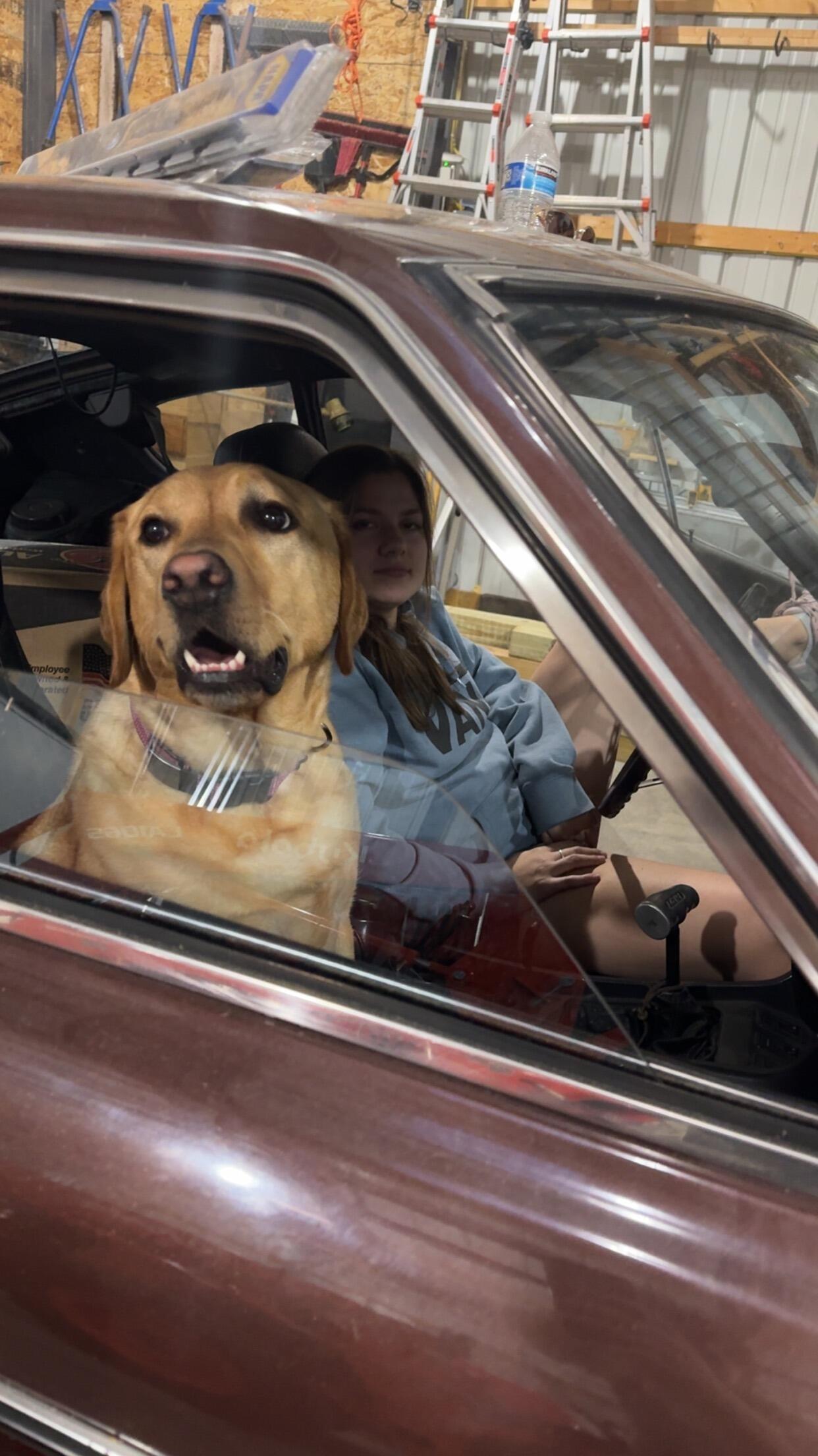 Many long nights working on Tyler's car. With our favorite sidekick, Charlie. 