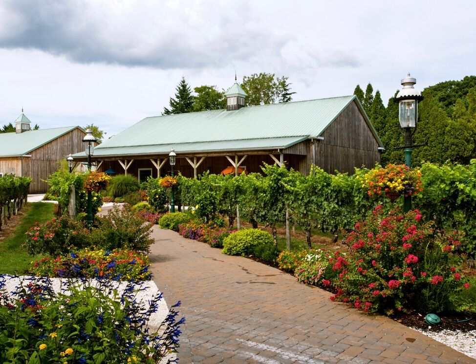 Picture of Cape May Winery & Vineyard