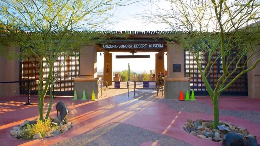 Picture of Arizona-Sonora Desert Museum