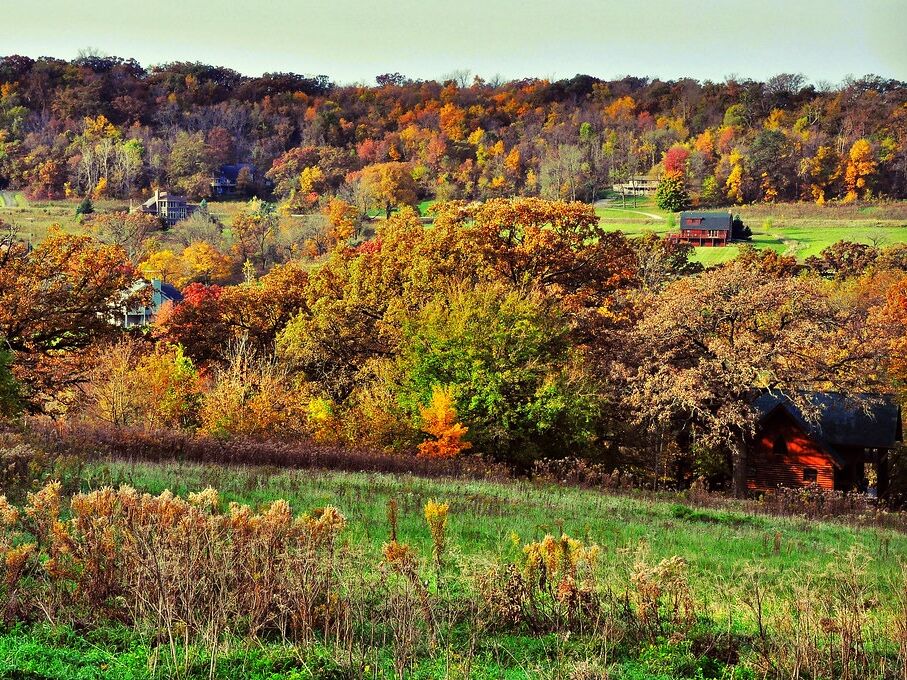 Picture of Airbnb - Galena Territory