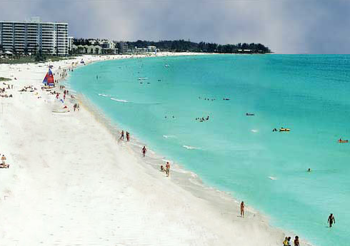 Picture of Siesta Beach 