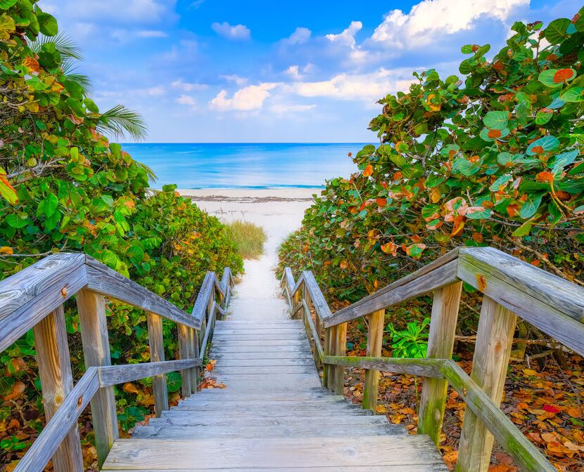 Picture of Juno Beach (Dog Friendly)