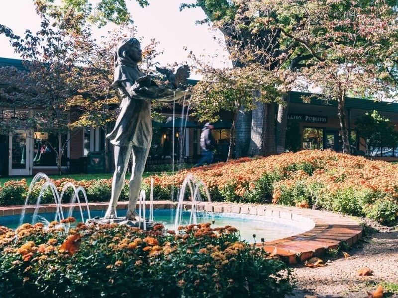 Picture of Utica Square