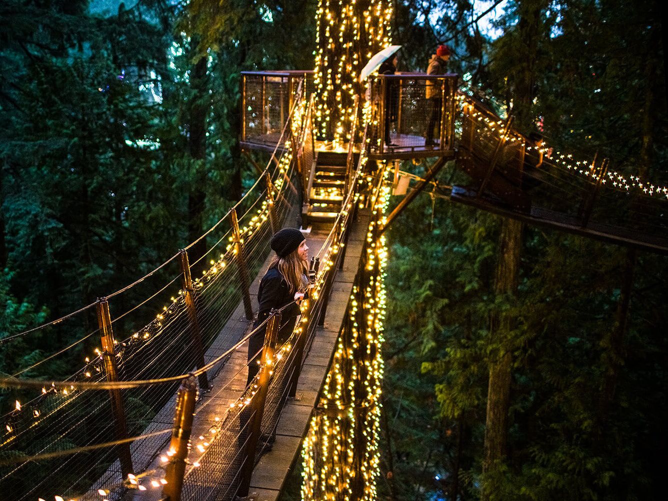 Picture of Capilano Suspension Bridge Park