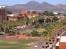Picture of The University Of Arizona And Main Gate Square