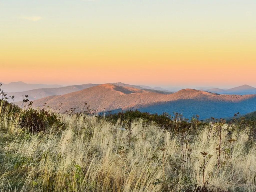 Picture of Carvers Gap Trailhead